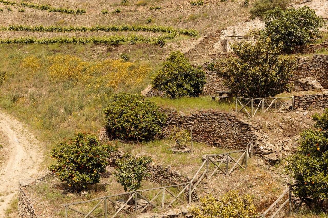 Quinta Nova Winery House - Relais & Chateaux Pinhão Екстериор снимка