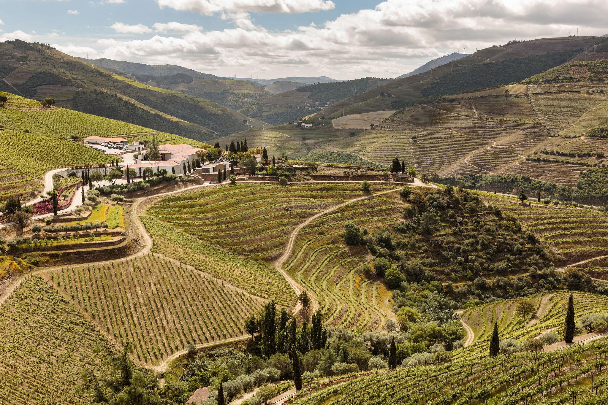 Quinta Nova Winery House - Relais & Chateaux Pinhão Екстериор снимка